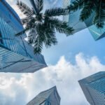 Dubai Real Estate Management